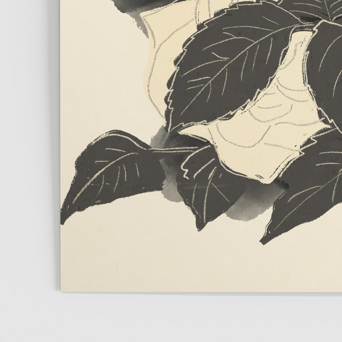 White Roses 5 Poster Gallery Image 3