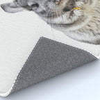 Chinchilla Rug Gallery Image 4