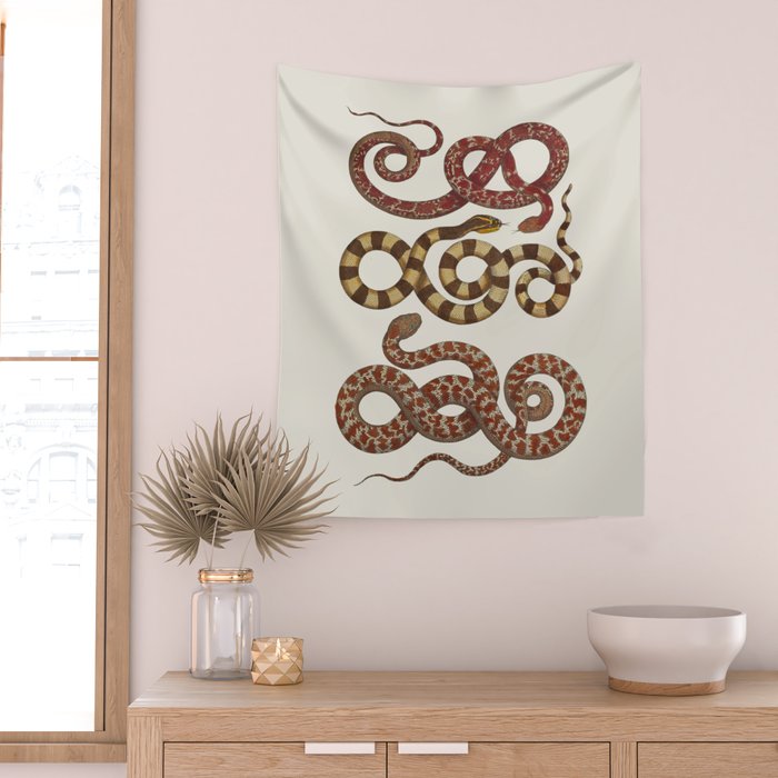 Albertus Seba A detailed description of the richest treasure of natural things Wall Tapestry Gallery Image 2