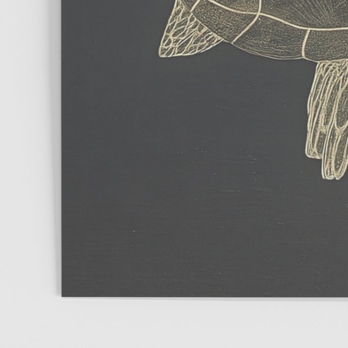 Turtle with Flowers Poster Gallery Image 3