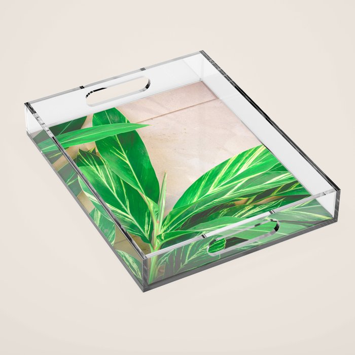 Lush Acrylic Tray Gallery Image 1