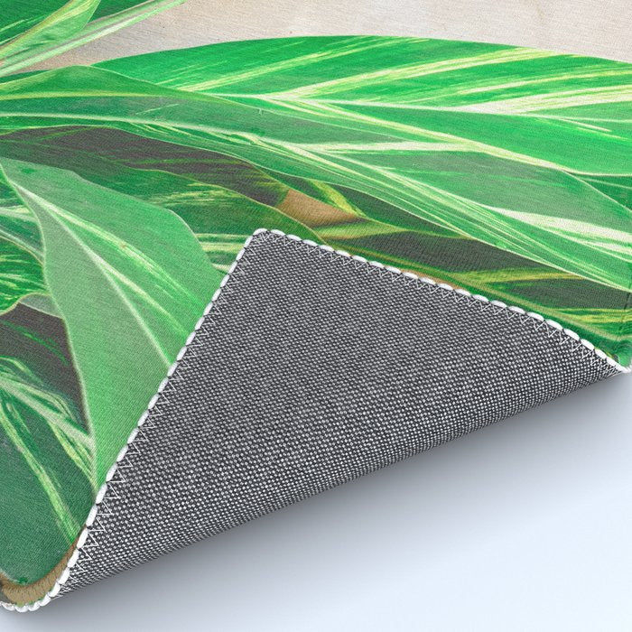 Lush Rug Gallery Image 4