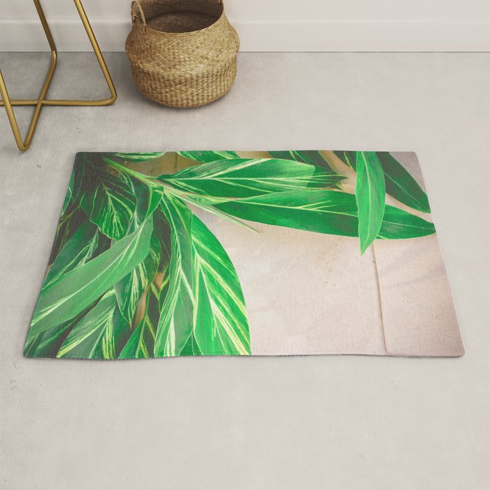 Lush Rug Gallery Image 1