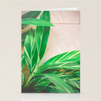 Lush Stationery Card Gallery Image 2