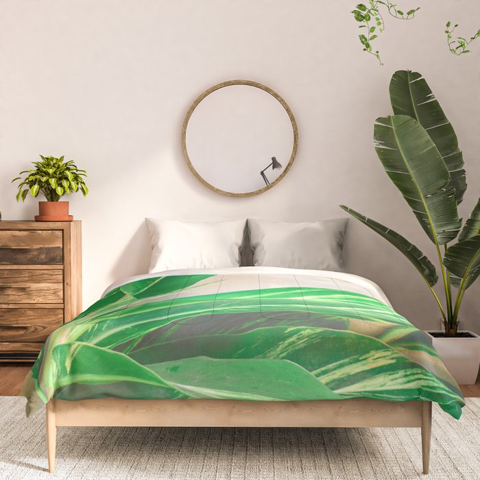 Lush Comforter Gallery Image 3