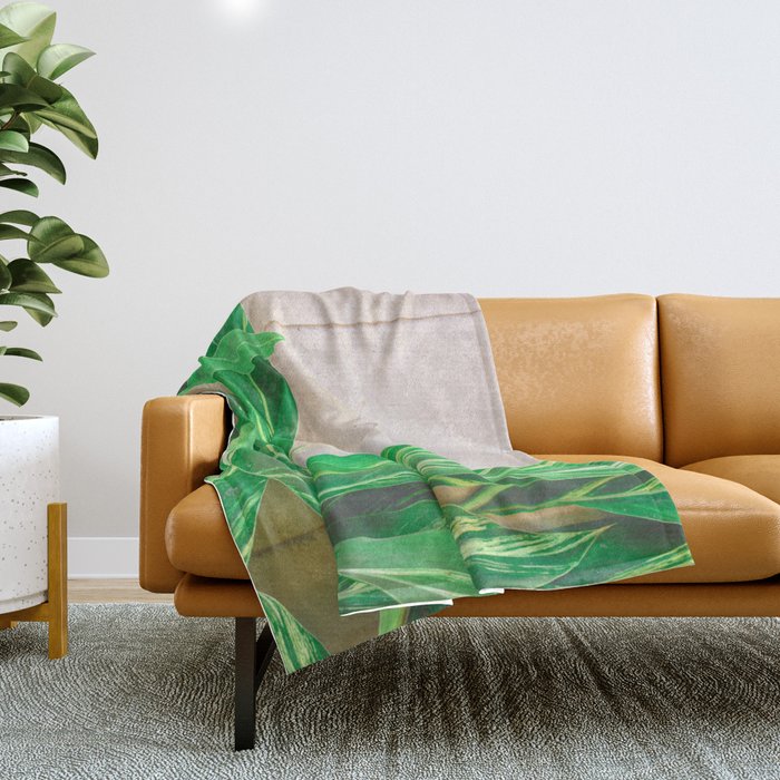 Lush Throw Blanket Gallery Image 1