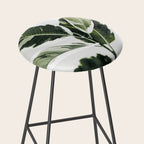 Ficus  Stool Gallery Image 2