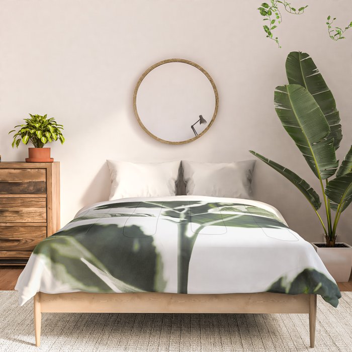 Ficus  Comforter Gallery Image 3