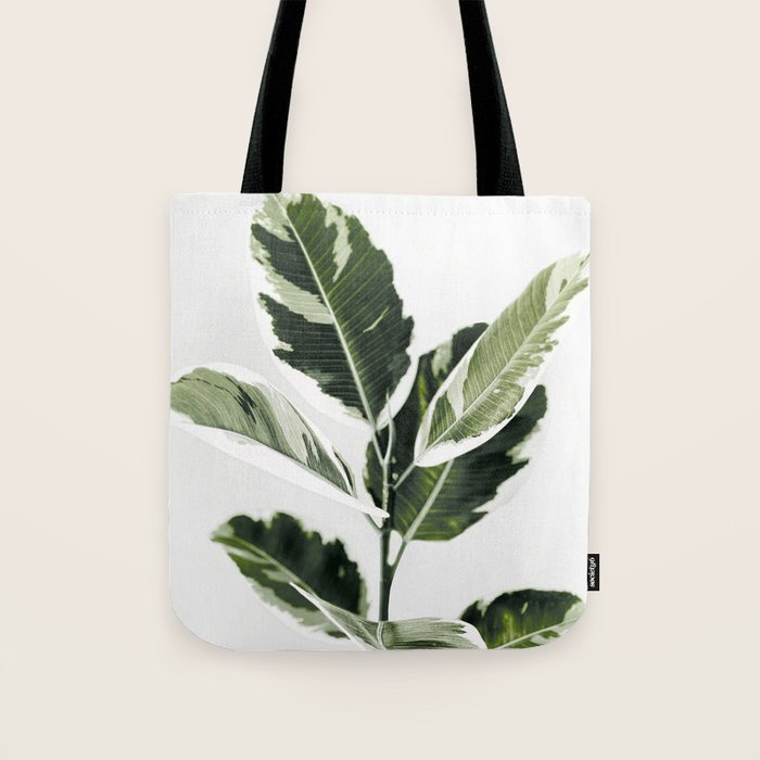 Ficus  Tote Bag Gallery Image 1