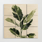 Ficus  Wood Wall Art Gallery Image 1