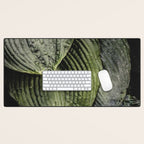 Hosta and Ivy - green nature botanical environment photograph Desk Mat Gallery Image 1
