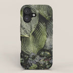 Hosta and Ivy - green nature botanical environment photograph iPhone Case Gallery Image 1