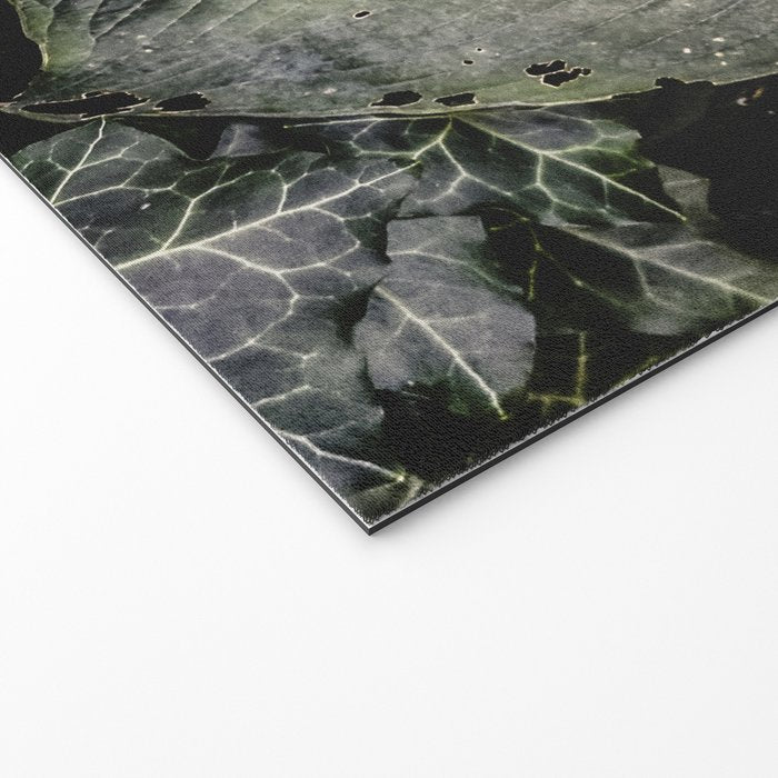 Hosta and Ivy - green nature botanical environment photograph Welcome Mat Gallery Image 2