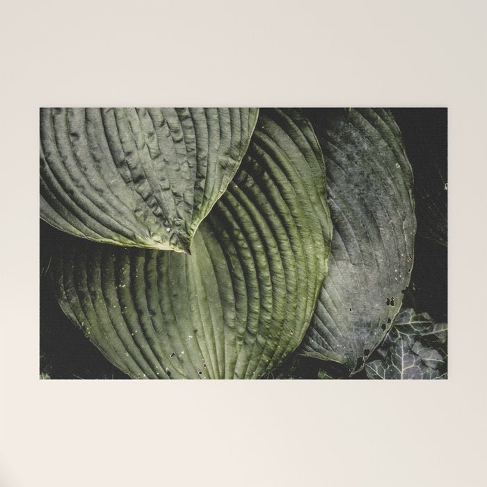 Hosta and Ivy - green nature botanical environment photograph Welcome Mat Gallery Image 1