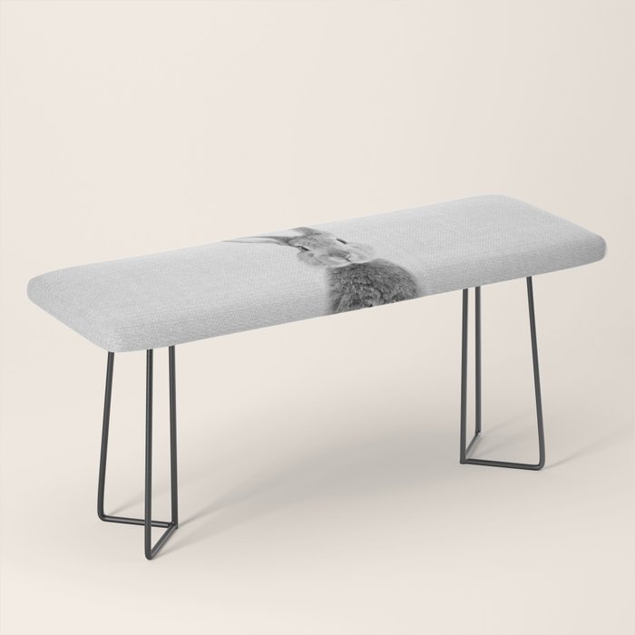 Rabbit - Black & White Bench Gallery Image 1