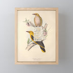 Bird Divinations: Golden Oriole (about: almanacofbirds.org) Mini Art Print Gallery Image 1