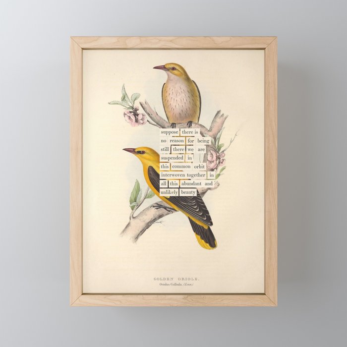 Bird Divinations: Golden Oriole (about: almanacofbirds.org) Mini Art Print Gallery Image 1