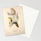 Bird Divinations: Golden Oriole (about: almanacofbirds.org) Stationery Card Gallery Image 2