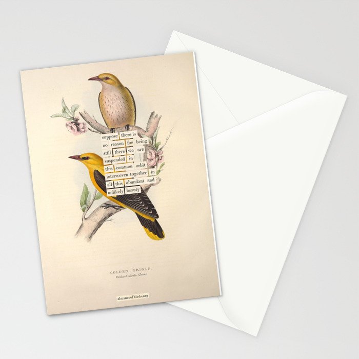 Bird Divinations: Golden Oriole (about: almanacofbirds.org) Stationery Card Gallery Image 2