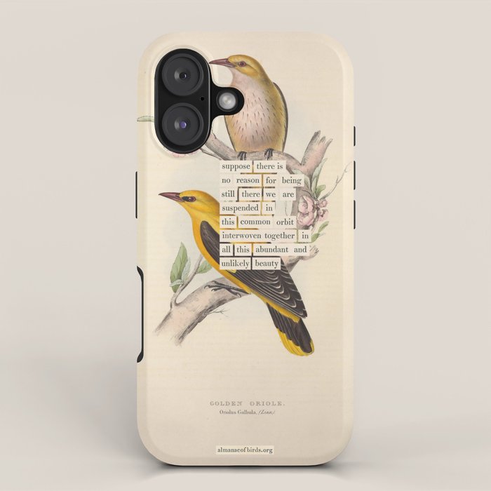 Bird Divinations: Golden Oriole (about: almanacofbirds.org) iPhone Case Gallery Image 1