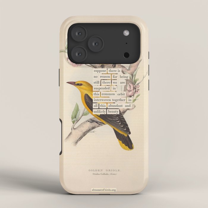 Bird Divinations: Golden Oriole (about: almanacofbirds.org) iPhone Case Gallery Image 4
