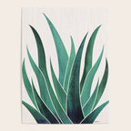 Desert Agave Botanical Drawing Poster Gallery Image 4