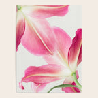 Pink Petals - Flower Photography, Botanical Poster Gallery Image 4