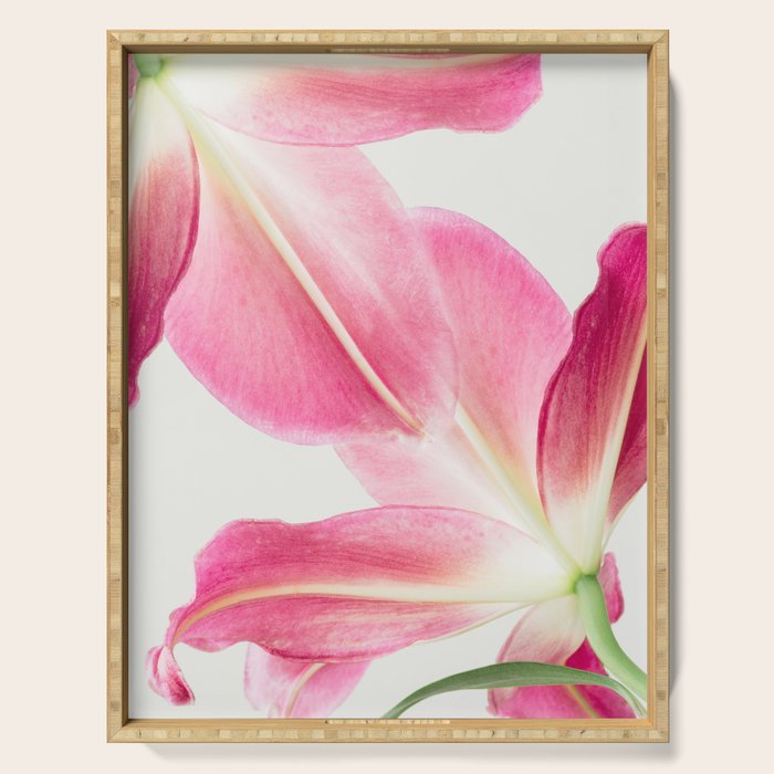 Pink Petals - Flower Photography, Botanical Serving Tray Gallery Image 1