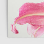 Pink Petals - Flower Photography, Botanical Poster Gallery Image 3