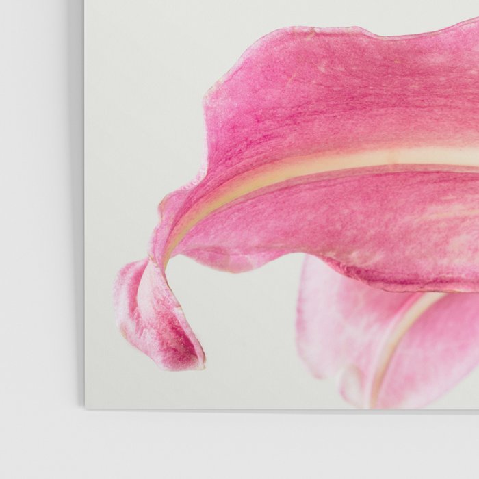 Pink Petals - Flower Photography, Botanical Poster Gallery Image 3