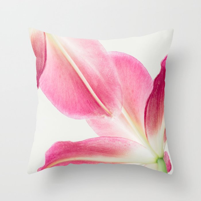 Pink Petals - Flower Photography, Botanical Throw Pillow Gallery Image 6
