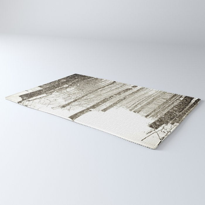 Wintry Mix Rug Gallery Image 3