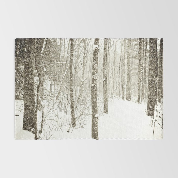 Wintry Mix Rug Gallery Image 2