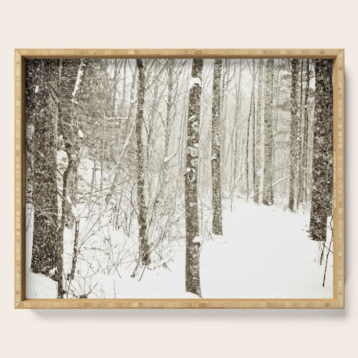 Wintry Mix Serving Tray Gallery Image 1
