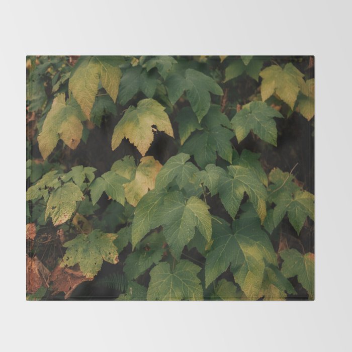 Early Foliage Throw Blanket Gallery Image 2