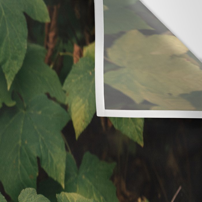 Early Foliage Wall Tapestry Gallery Image 3