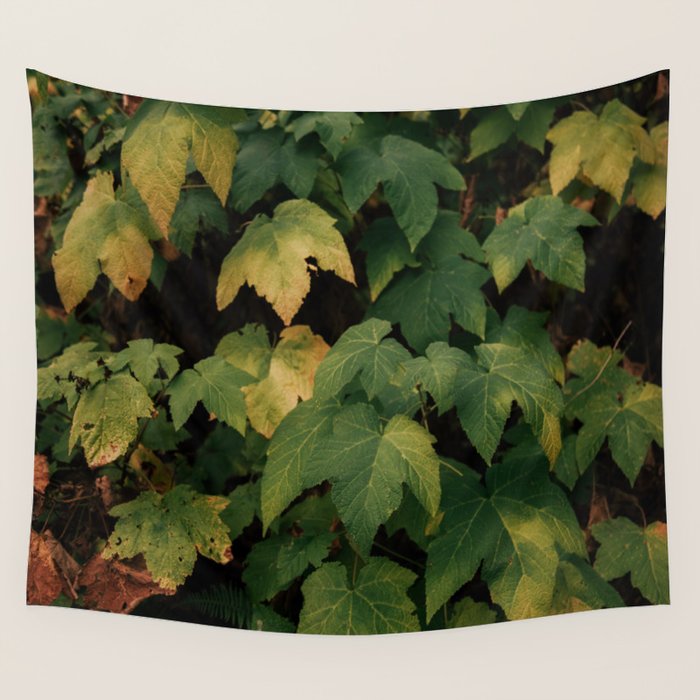 Early Foliage Wall Tapestry Gallery Image 4