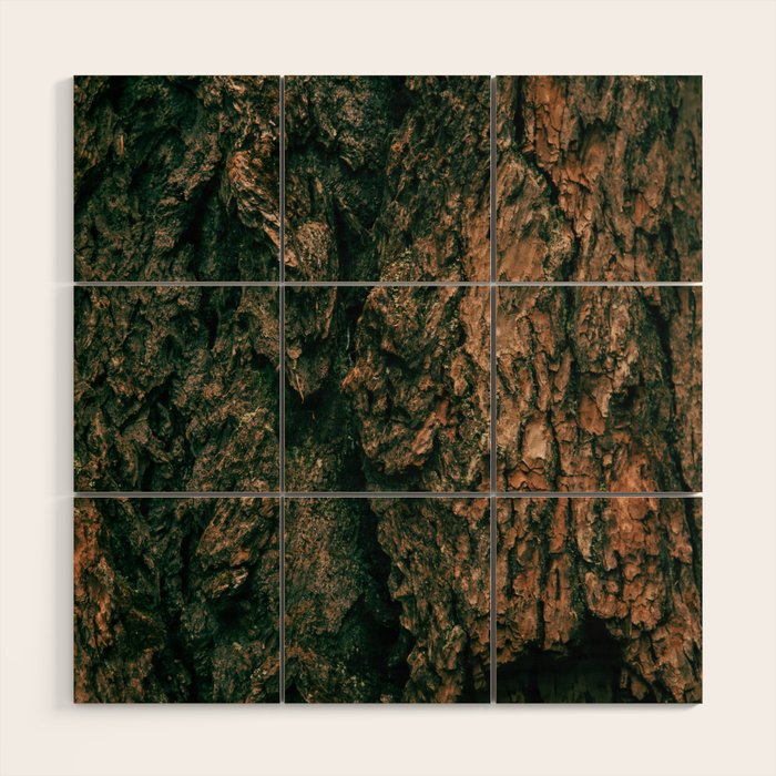 Tree Bark Wood Wall Art Gallery Image 1