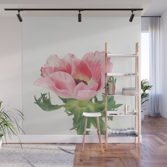 Pink Anemone Wall Mural Gallery Image 1