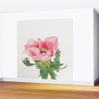 Pink Anemone Wall Mural Gallery Image 2