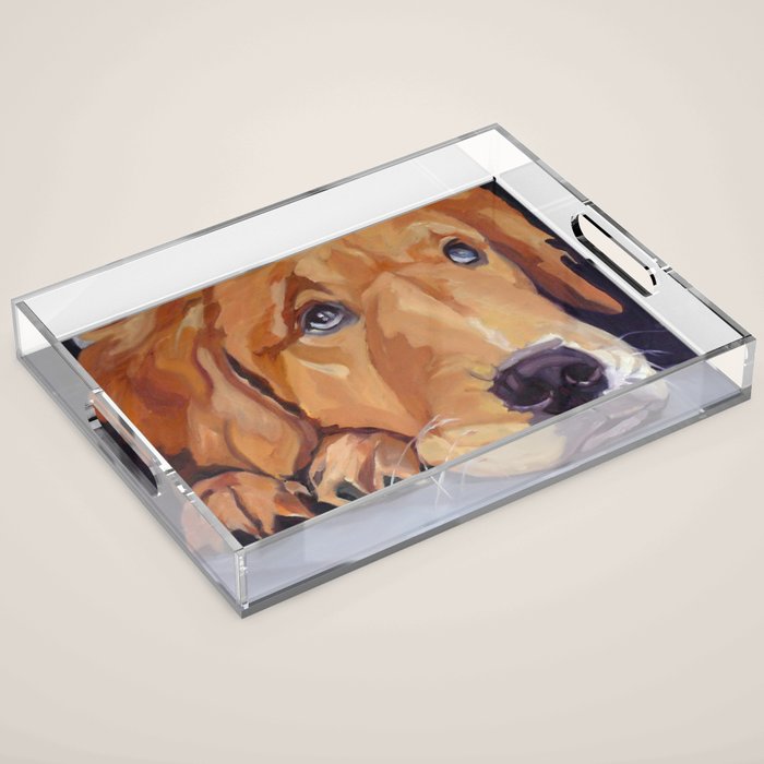 Golden Retriever Dog Portrait Acrylic Tray Gallery Image 1