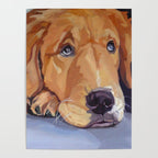 Golden Retriever Dog Portrait Poster Gallery Image 4
