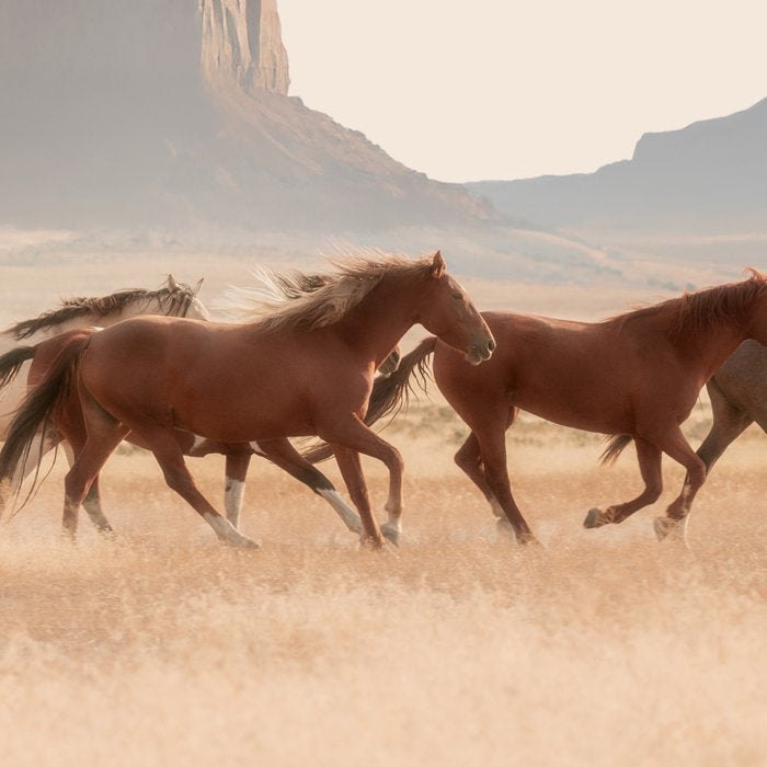 Southwest Horses Coffee Mug Gallery Image 2