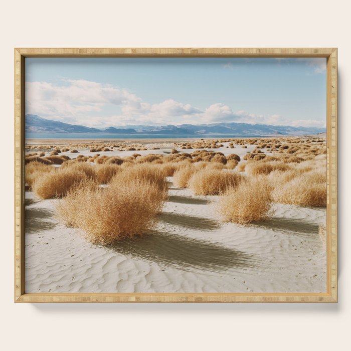Paiute Land Serving Tray Gallery Image 1