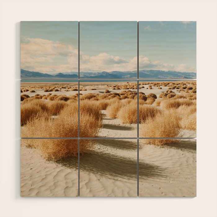 Paiute Land Wood Wall Art Gallery Image 1
