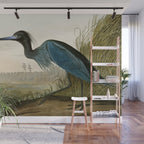 Little Blue Heron - John James Audubon's Birds of America Print Wall Mural Gallery Image 1