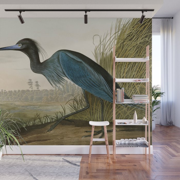 Little Blue Heron - John James Audubon's Birds of America Print Wall Mural Gallery Image 1