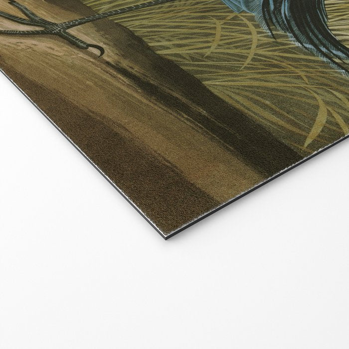Little Blue Heron - John James Audubon's Birds of America Print Welcome Mat Gallery Image 2