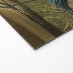 Little Blue Heron - John James Audubon's Birds of America Print Welcome Mat Gallery Image 2
