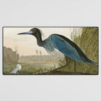 Little Blue Heron - John James Audubon's Birds of America Print Desk Mat Gallery Image 3